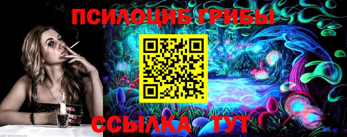 Псилоцибиновые грибы MAGIC MUSHROOMS  Вход с VPN  наркота  Саранск  Псилоцибиновые грибы прущие грибы 